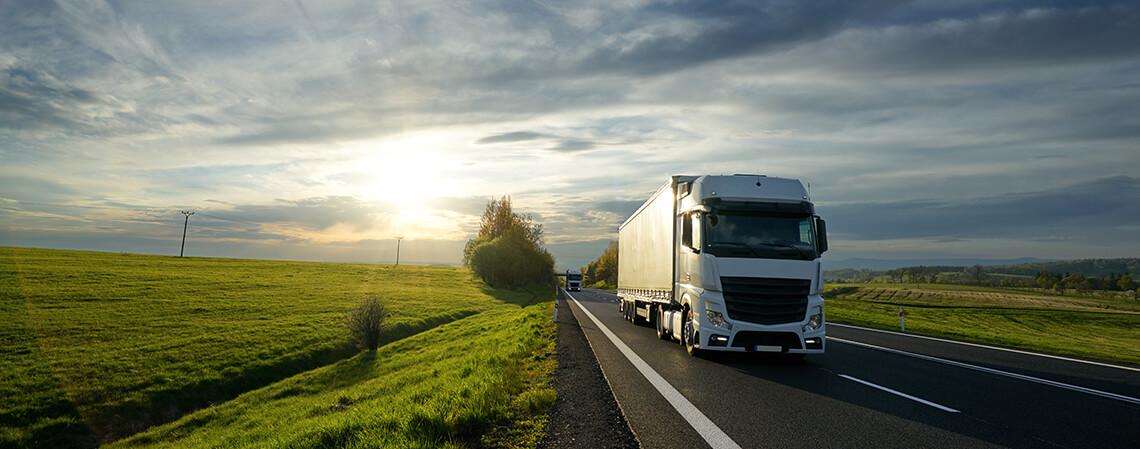 ekaer contrôle des marchandises en Hongrie