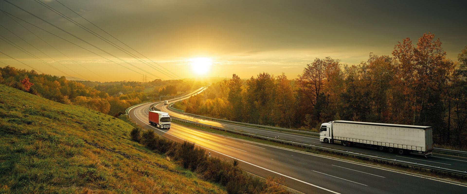 Bon de livraison électronique en Serbie